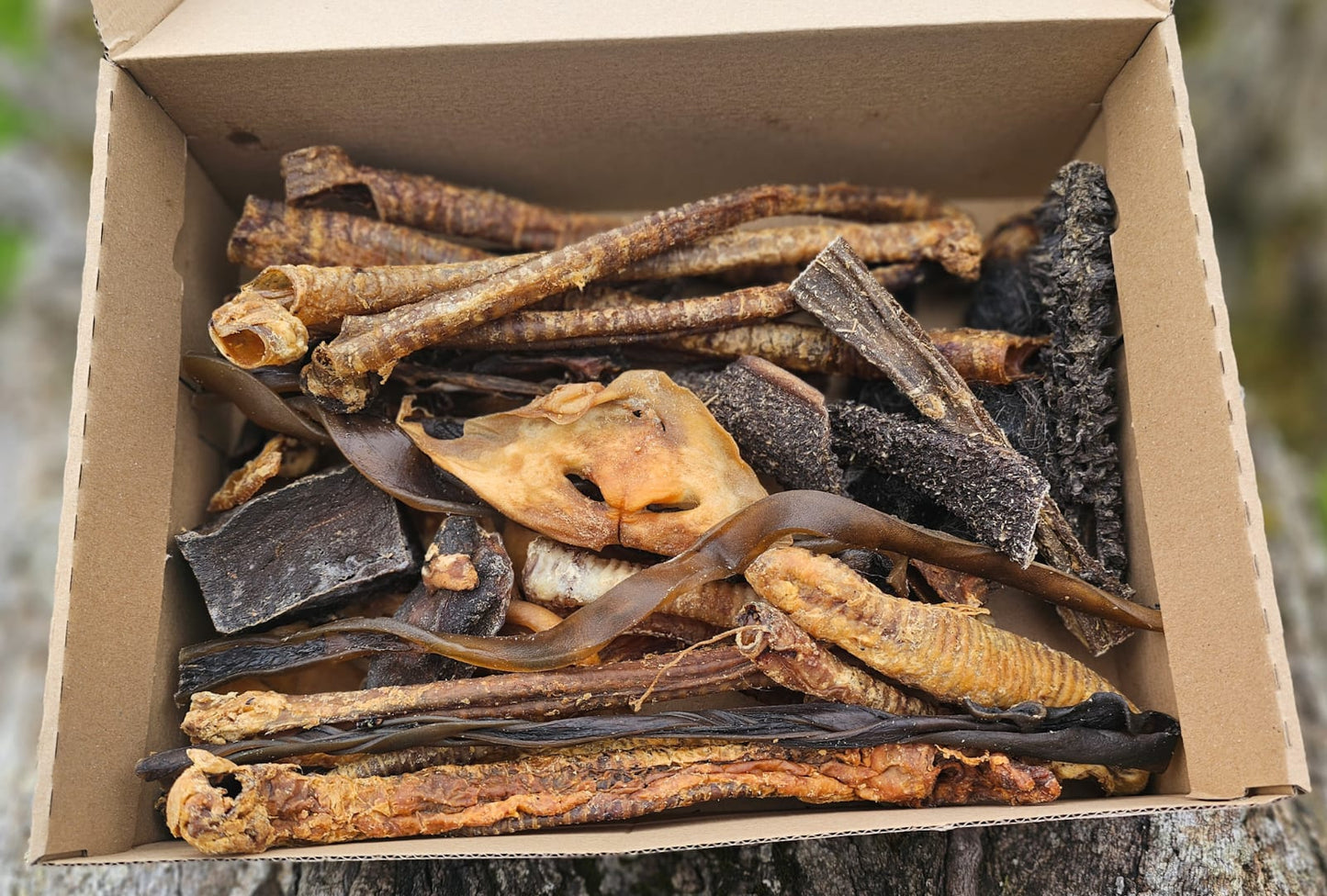Mystery Box