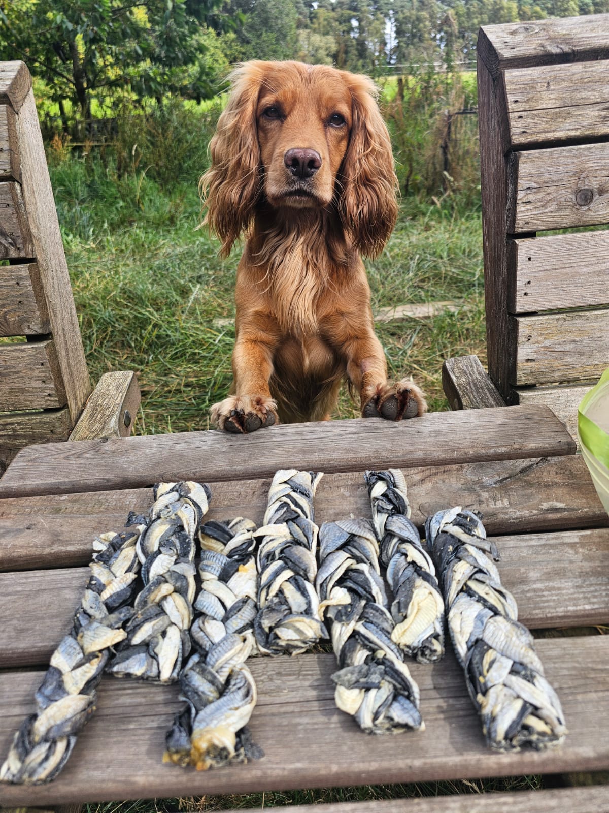 Fish Skin Twists