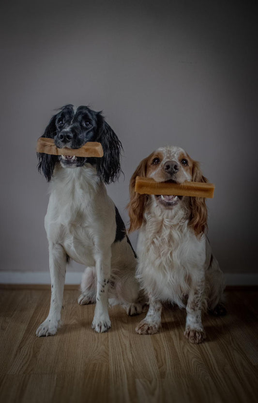 NATURAL YAKS medium chew