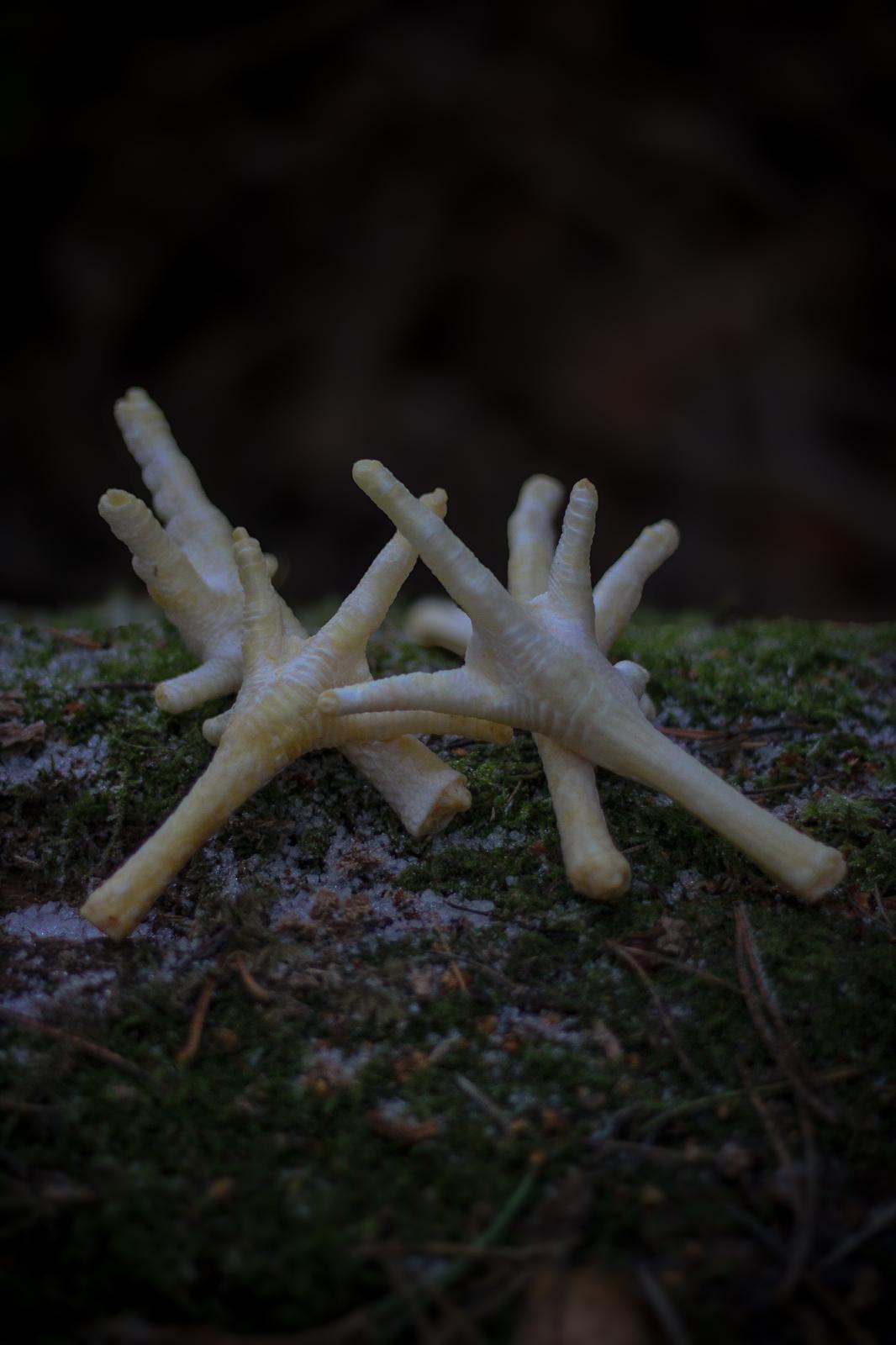 Puffed Chicken Feet (each)